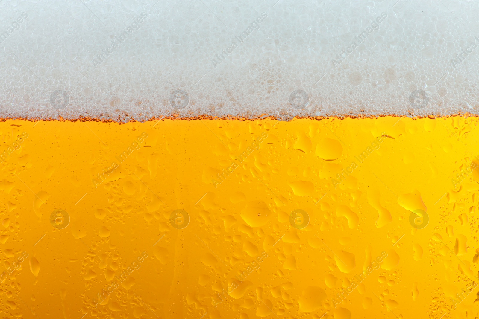 Photo of Glass of tasty beer with foam, closeup