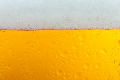 Glass of tasty beer with foam, closeup