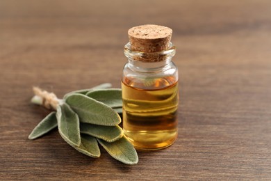 Photo of Bottle of essential sage oil and twig on wooden table