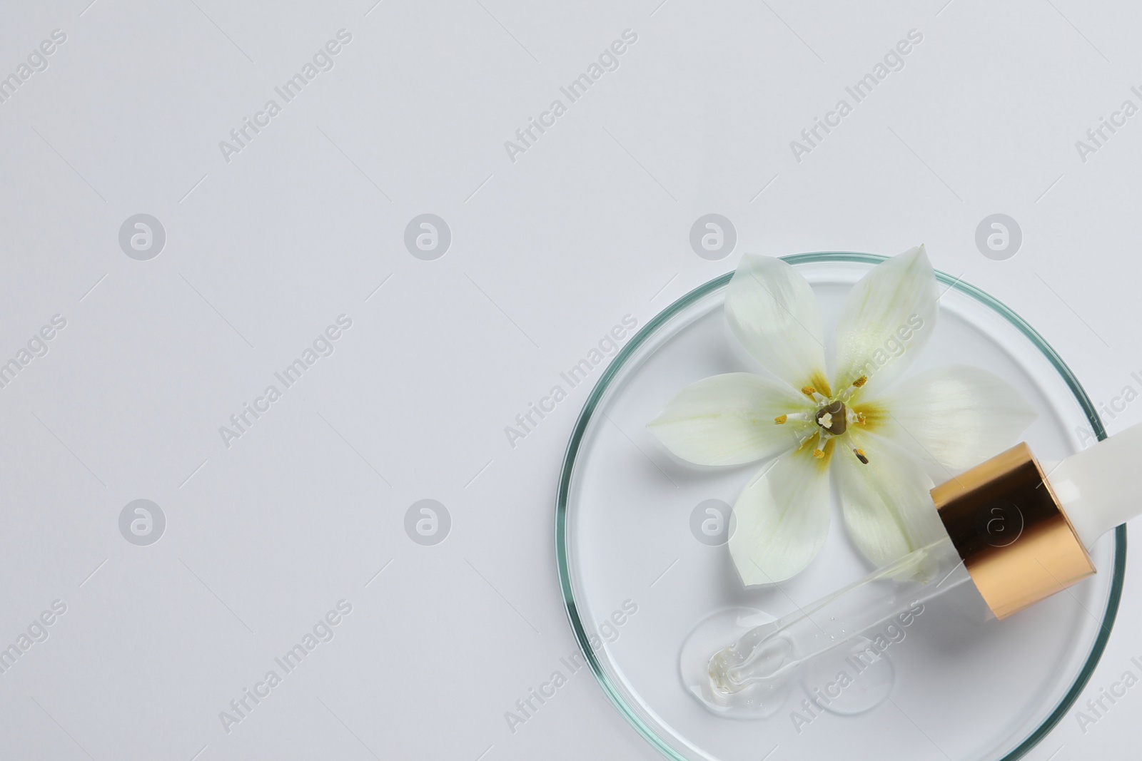 Photo of Petri dish with sample of cosmetic oil, pipette and beautiful flower on white background, top view. Space for text