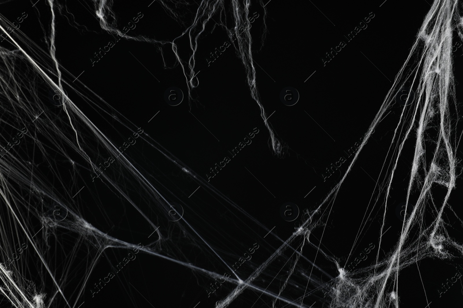 Photo of Creepy white spider web on black background