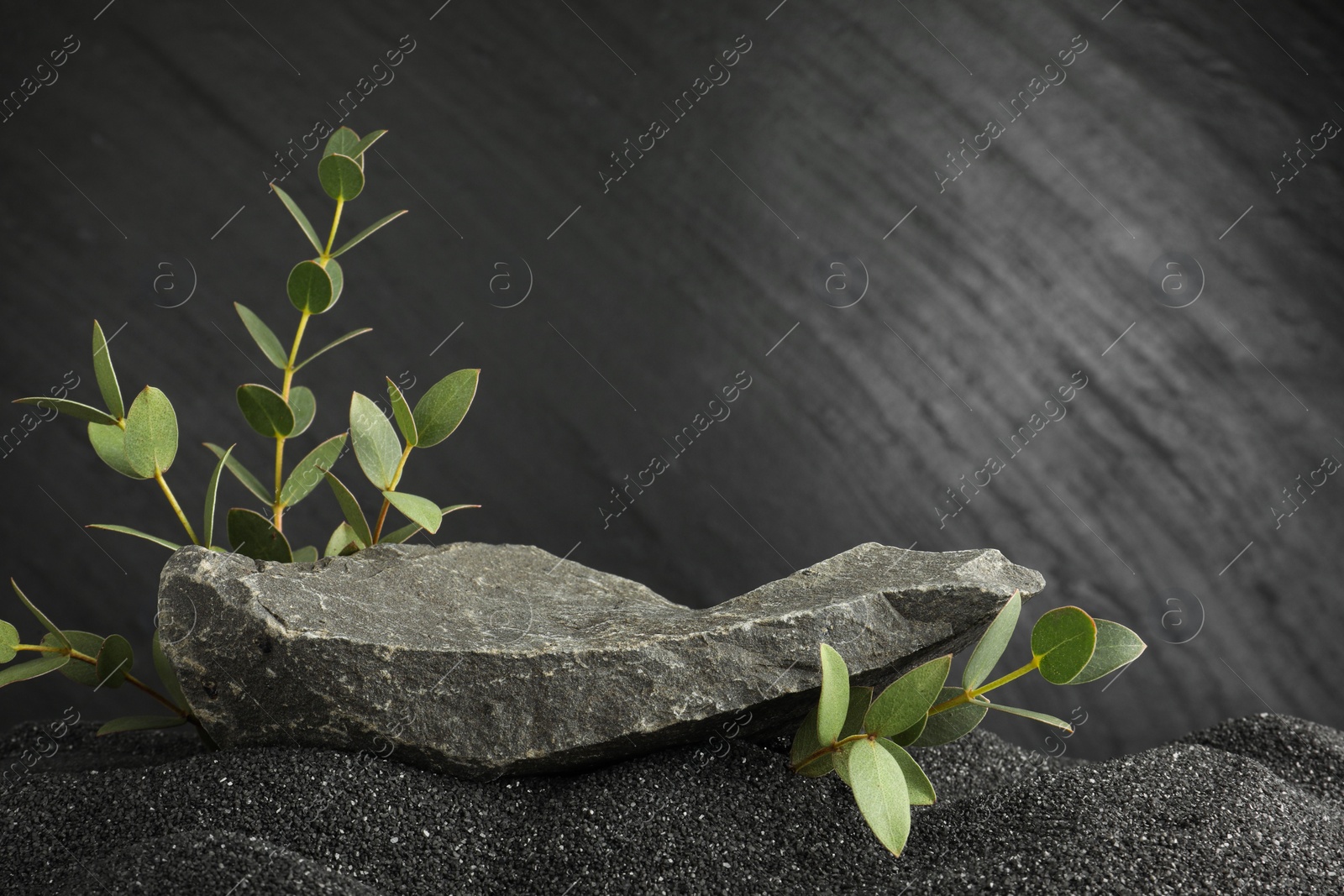 Photo of Presentation of product. Stone podium and green branches on black sand against dark textured background. Space for text