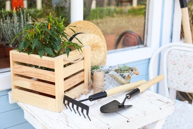 Gardening tools, plants and straw hat on white wooden table outdoors