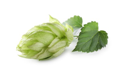 Fresh hop flower with leaves isolated on white