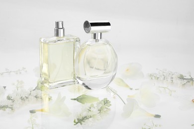 Luxury perfumes on spring floral decor, space for text