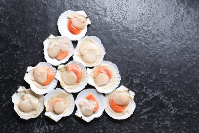 Photo of Fresh raw scallops with shells on black textured table, flat lay. Space for text