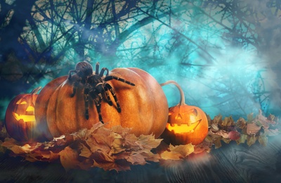 Image of Spooky Jack O Lantern pumpkins and creepy spider surrounded by mystical mist under full moon on Halloween