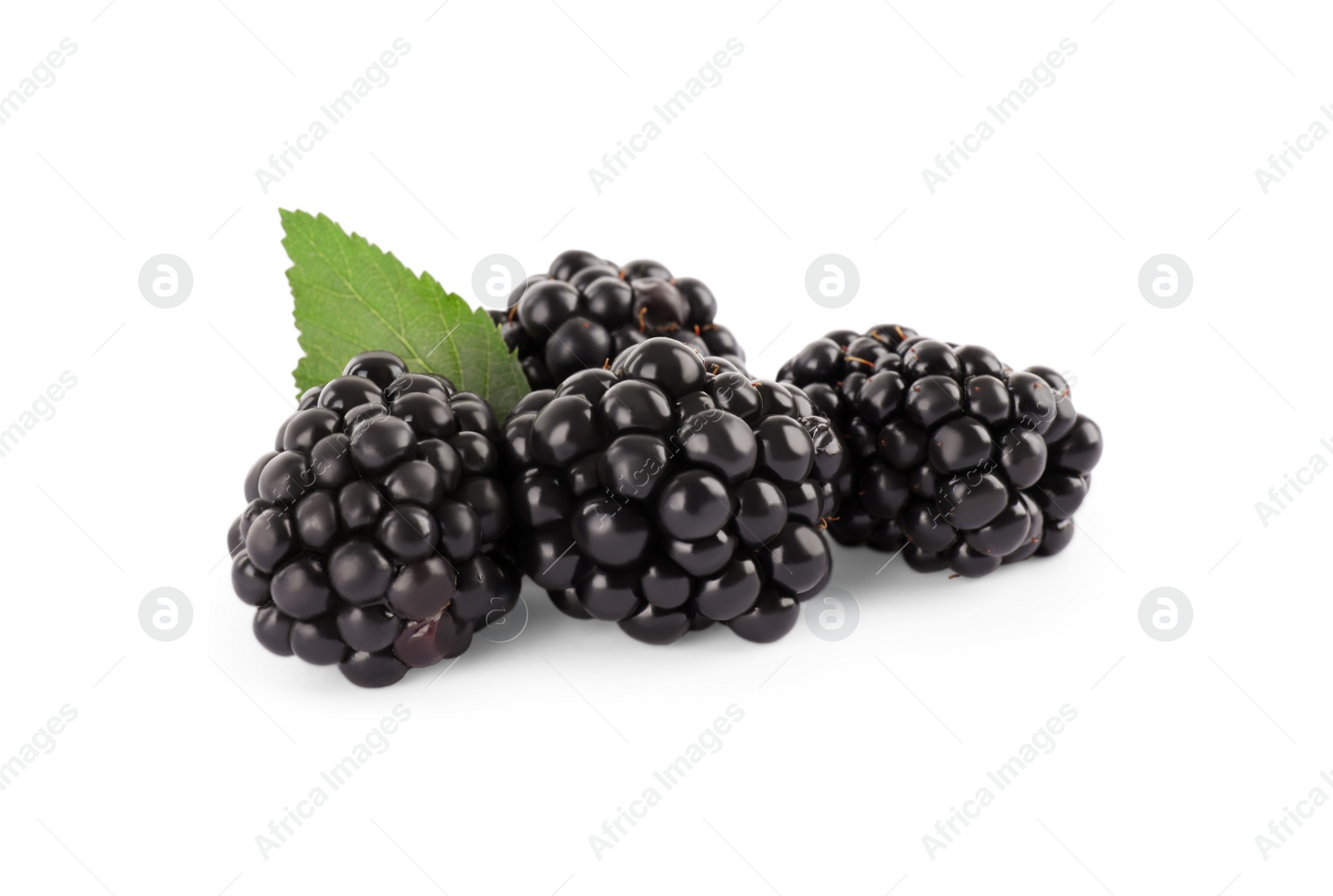 Photo of Tasty ripe blackberries and leaf on white background