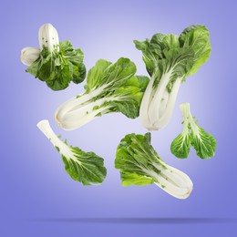 Fresh green pak choy cabbages falling on violet background