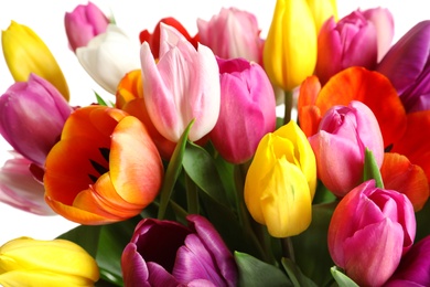 Photo of Beautiful bouquet of bright tulip flowers on light background, closeup