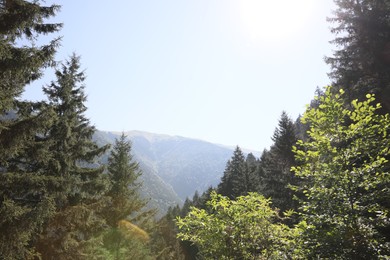 Photo of Picturesque view of green trees and mountains