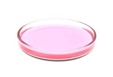 Photo of Petri dish with pink liquid isolated on white