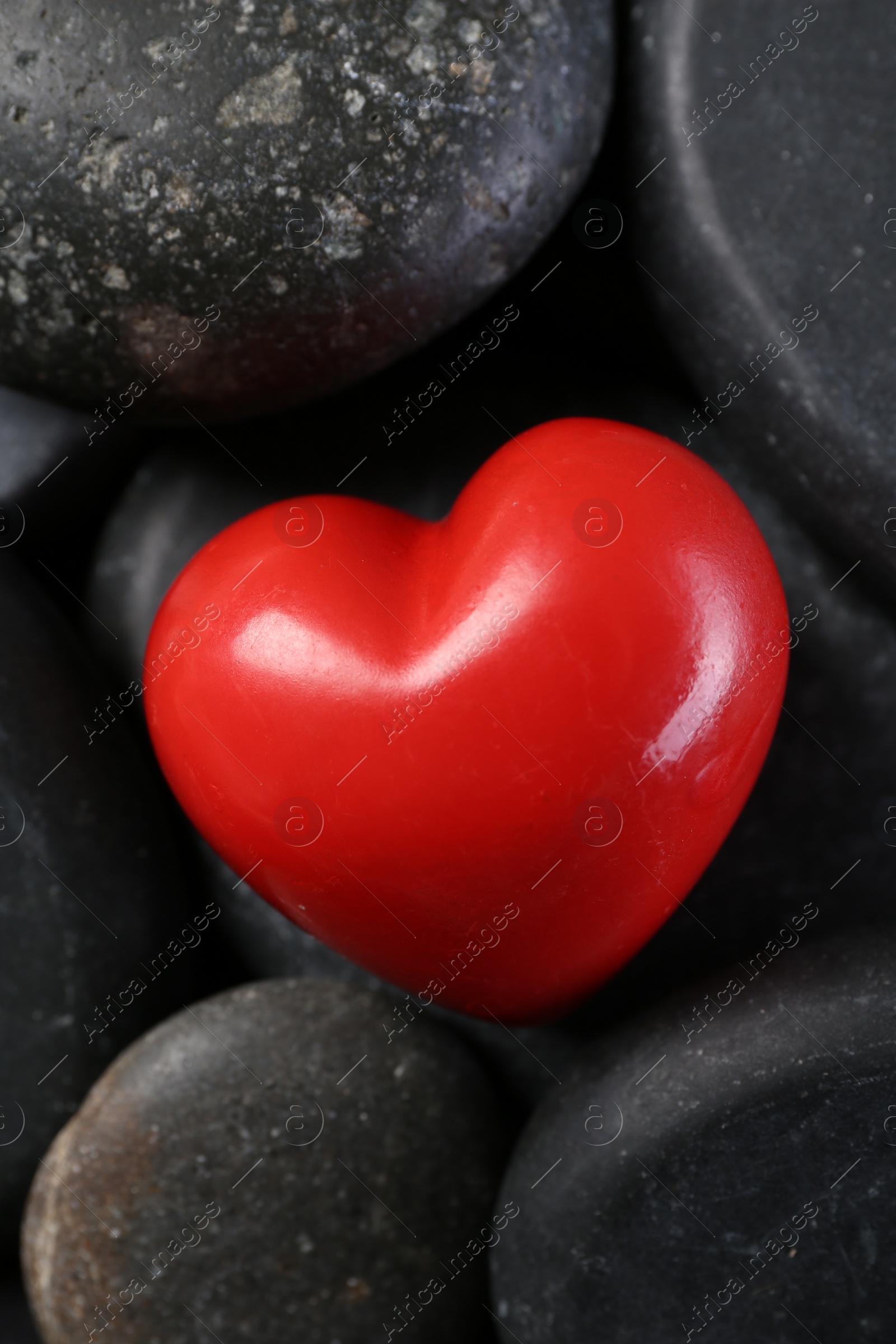 Photo of Red decorative heart on pebble stones, above view