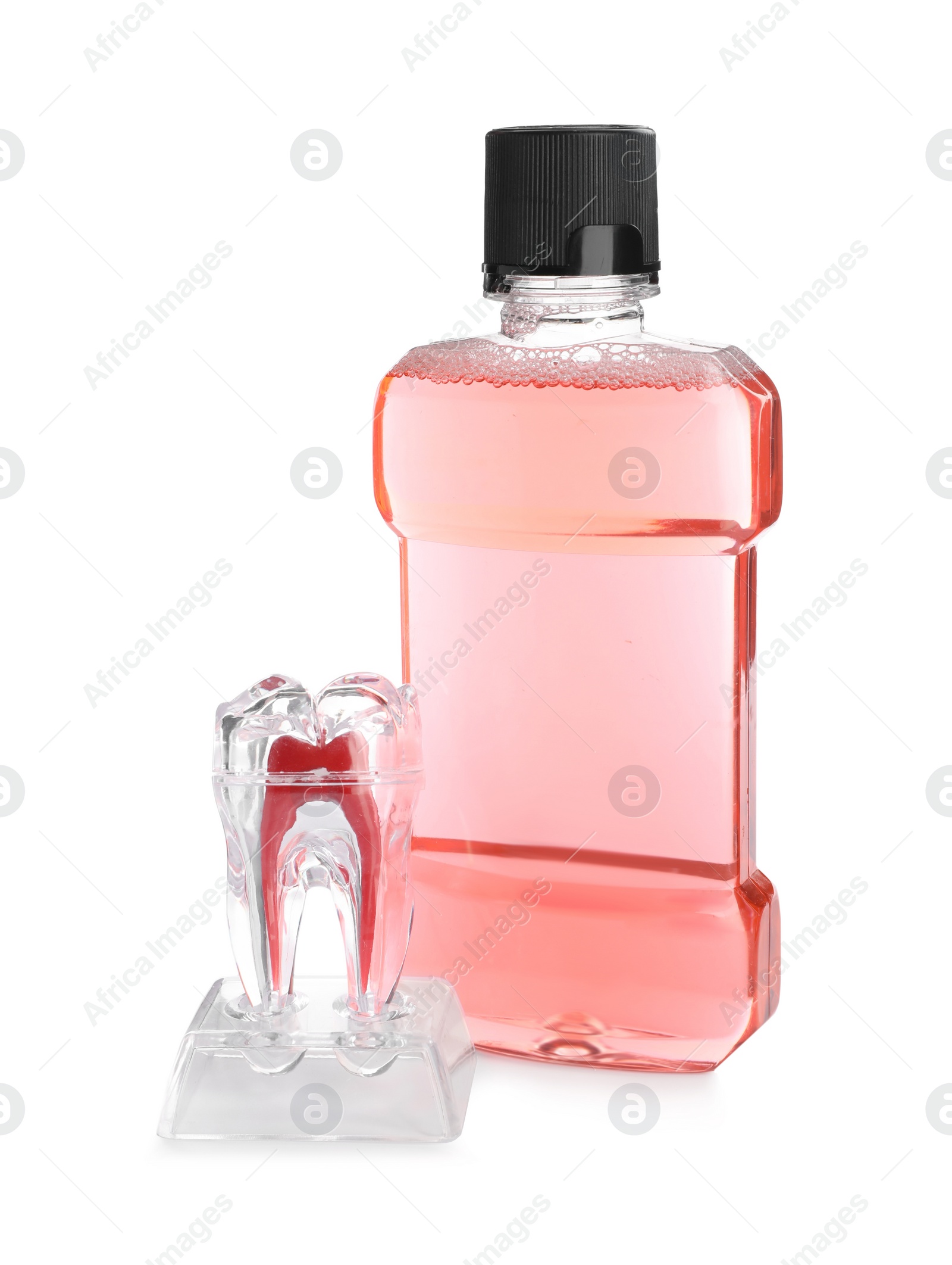 Photo of Educational model of tooth and mouthwash on white background