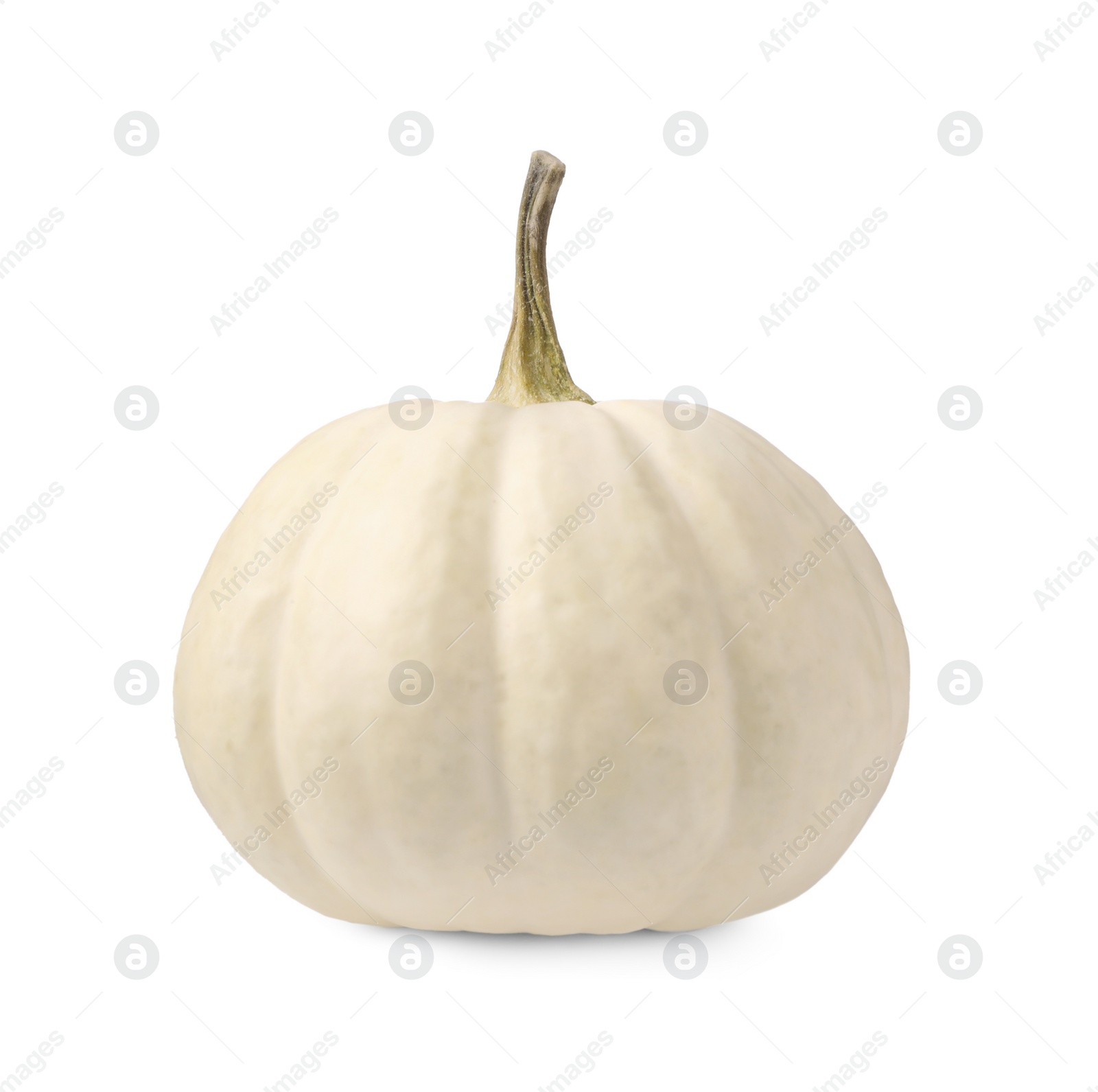 Photo of One fresh ripe pumpkin isolated on white