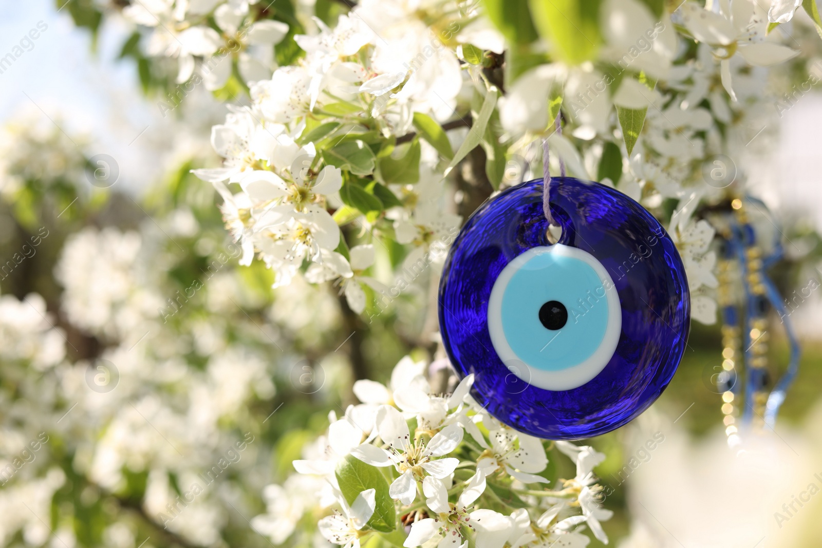 Photo of Eye bead against evil eye hanging on blossoming tree outdoors, closeup