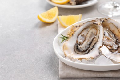 Photo of Fresh oysters with rosemary and ice on grey table, closeup. Space for text