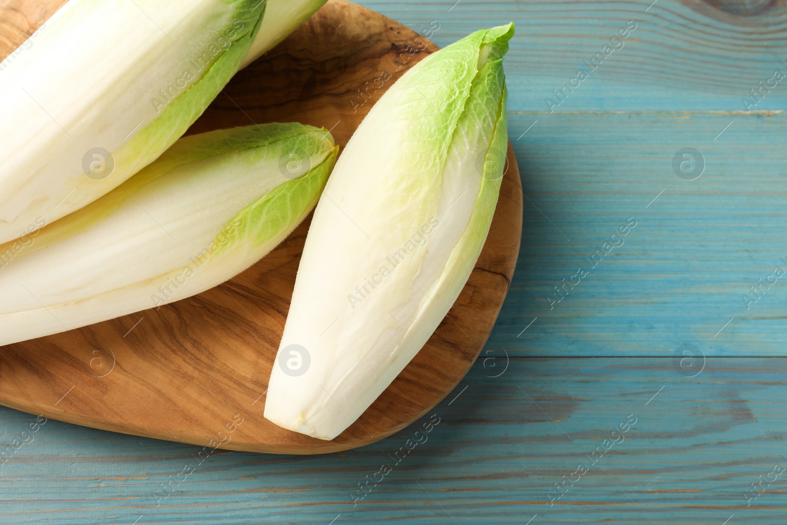 Photo of Fresh raw Belgian endives (chicory) on light blue wooden table, top view. Space for text