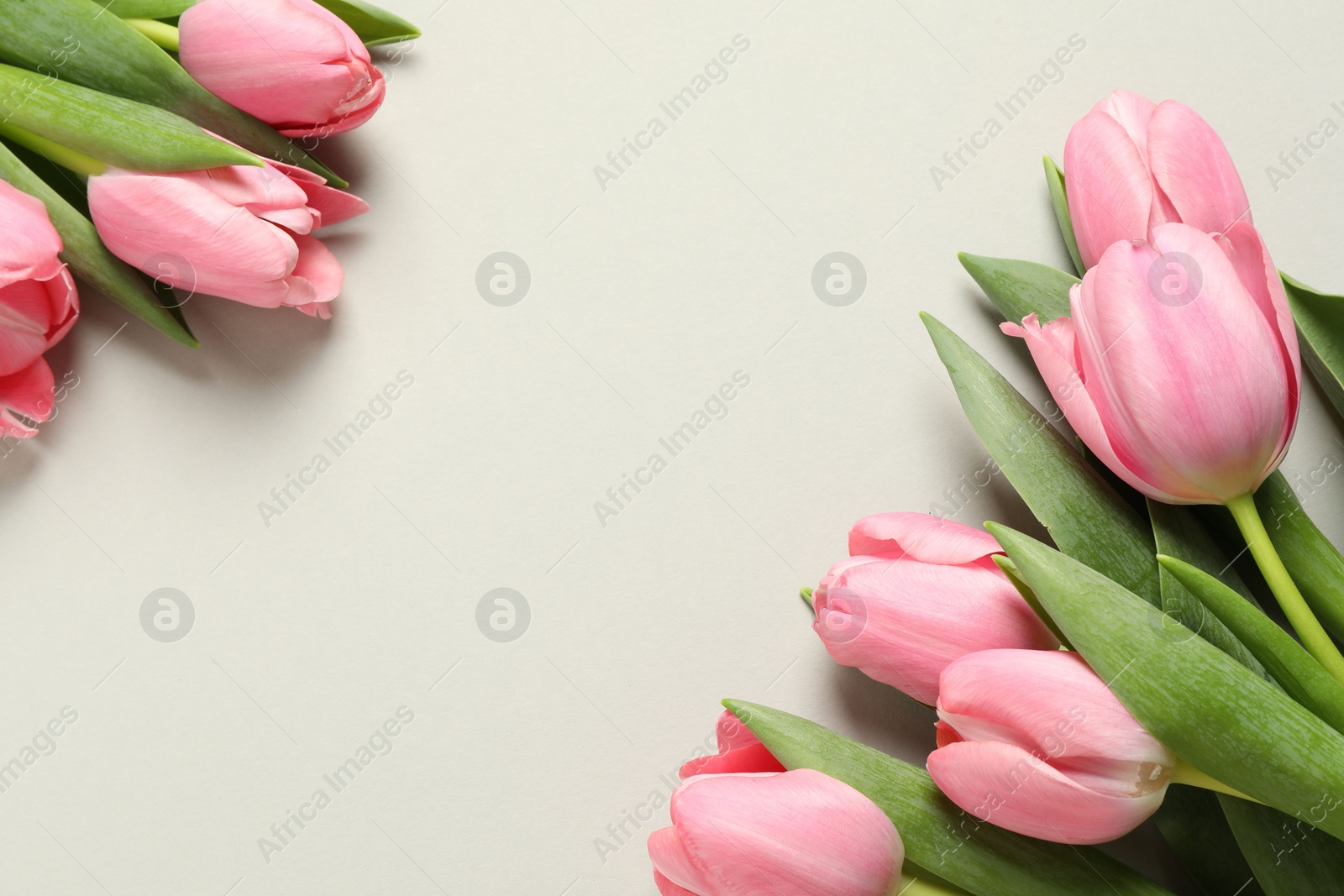 Photo of Happy Mother's Day. Beautiful tulips on light background, flat lay. Space for text