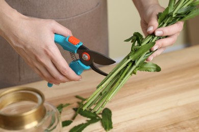 Photo of Florist cutting stems of flowers with pruner at workplace, closeup