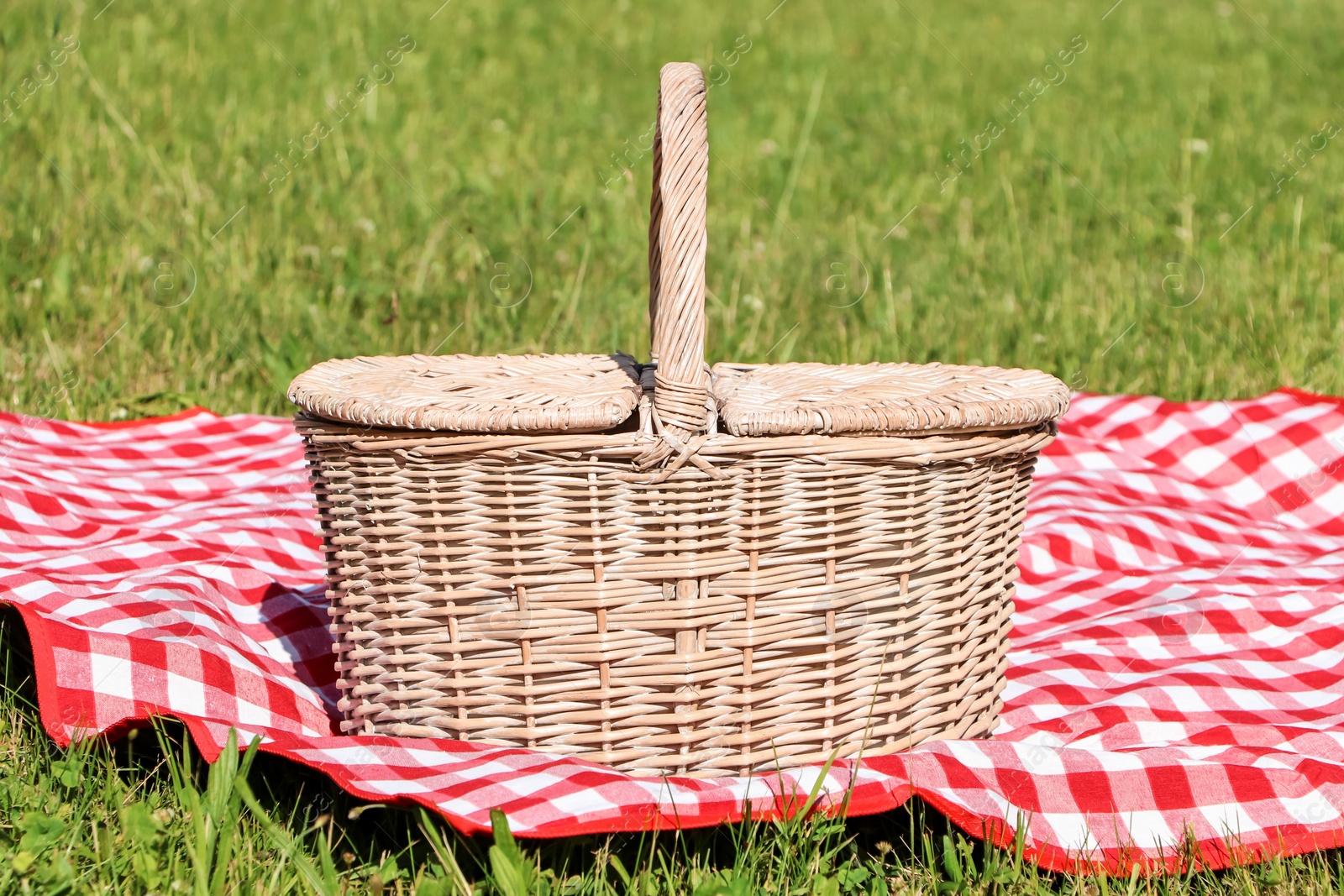 Photo of Picnic basket with checkered tablecloth on green grass outdoors