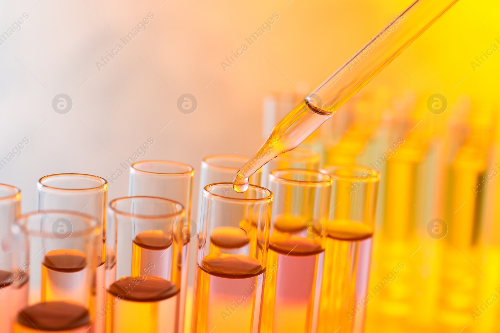 Photo of Dropping sample into test tube with liquid, closeup. Color tone effect