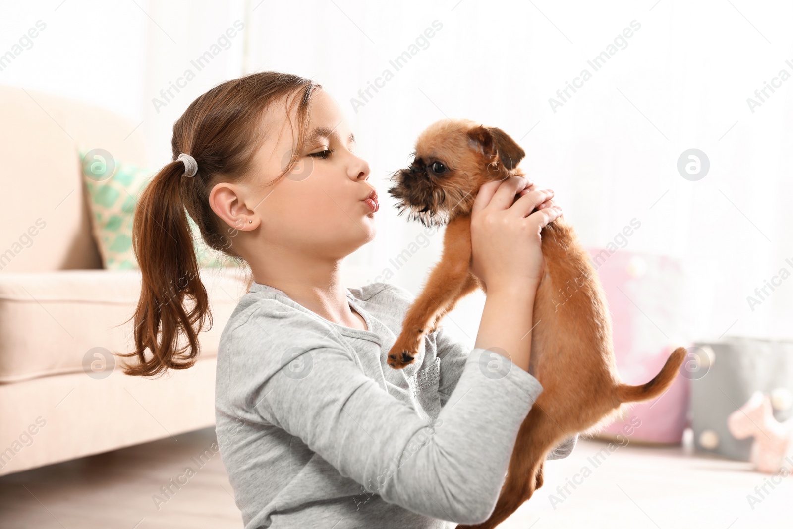 Photo of Portrait of cute girl with funny Brussels Griffon dog at home. Loyal friends