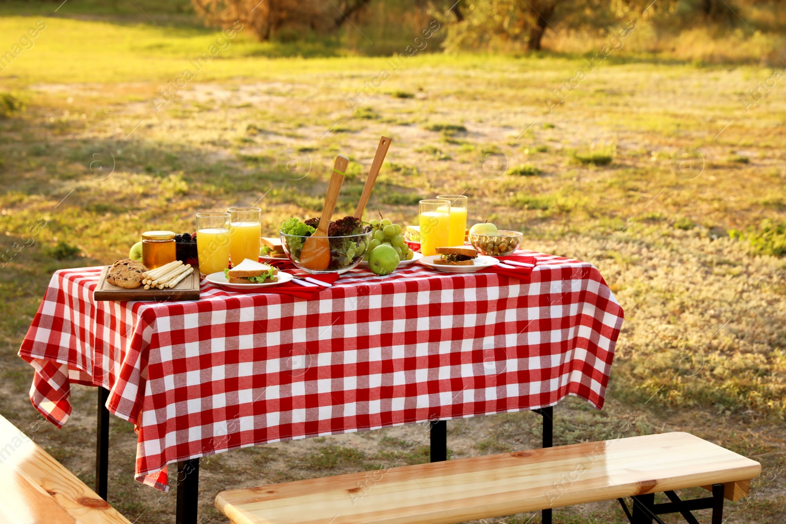 Photo of Picnic table with different snacks and drink in park