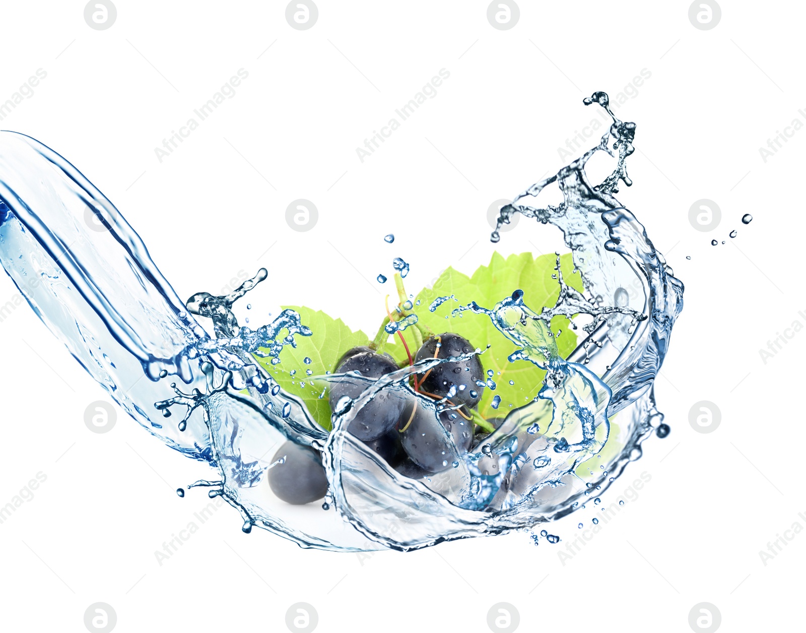 Image of Grapes with water splash on white background