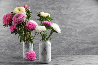 Beautiful asters in vases on table against grey background, space for text. Autumn flowers