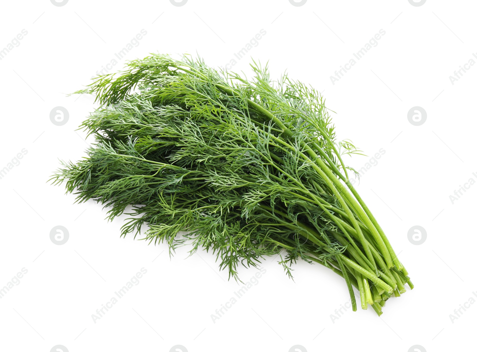 Photo of Fresh green dill branches isolated on white, above view