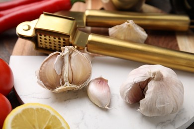 Photo of Different fresh ingredients for marinade and garlic press on table, closeup