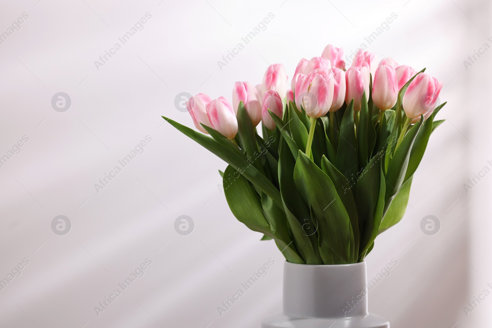 Photo of Beautiful bouquet of fresh pink tulips on light background. Space for text