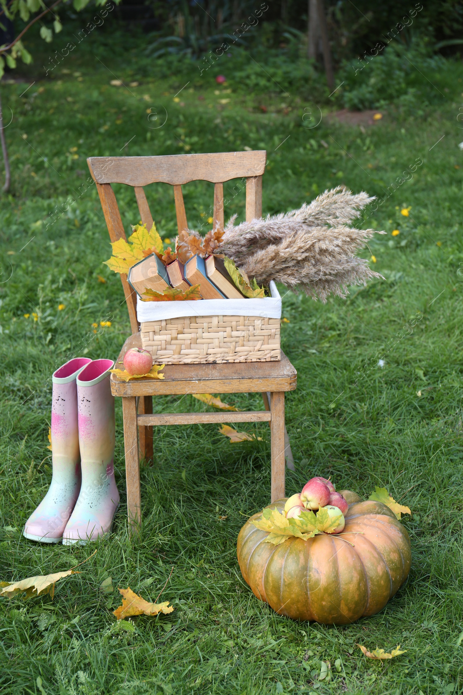 Photo of Rubber boots, chair, pumpkin and apples on green grass outdoors. Autumn atmosphere