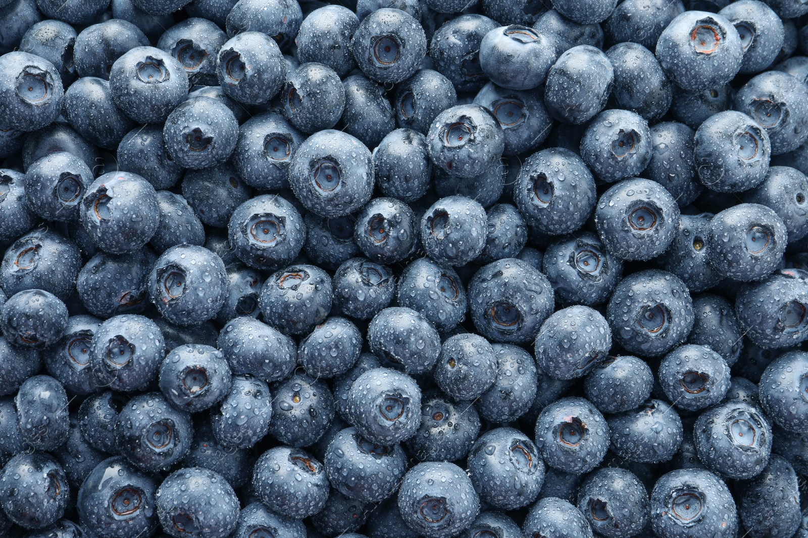 Photo of Wet fresh blueberries as background, top view