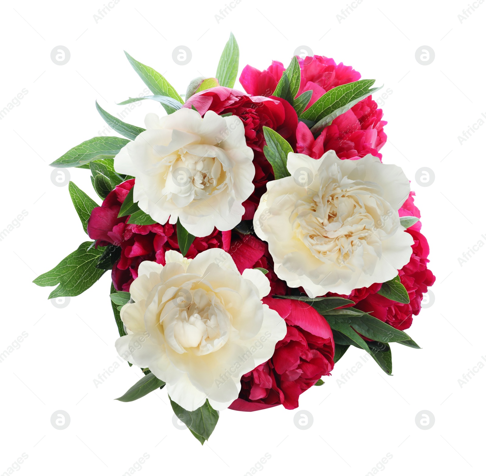 Image of Beautiful peony flower bouquet on white background