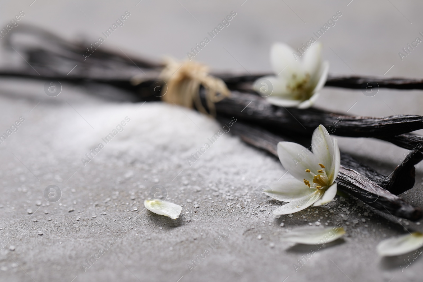 Photo of Vanilla pods, sugar, flowers and petals on gray textured table, closeup