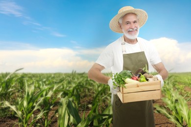 Harvesting season. Farmer holding wooden crate with crop in field