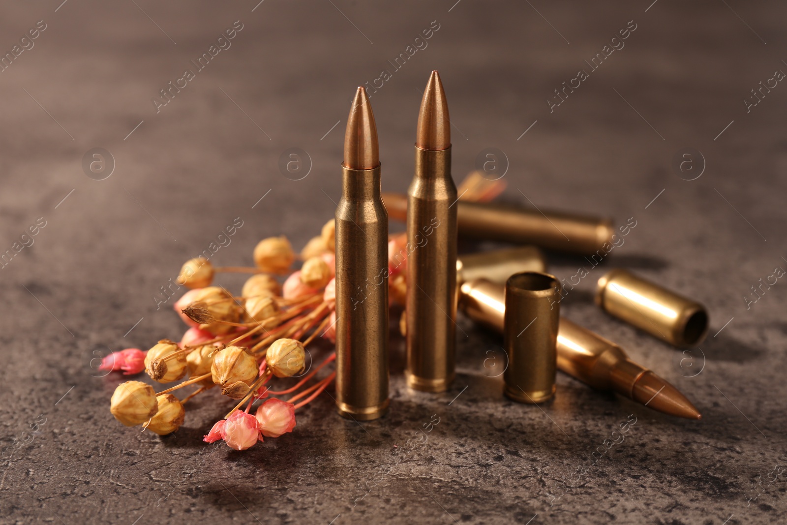 Photo of Bullets and beautiful dry plant on grey textured table, closeup