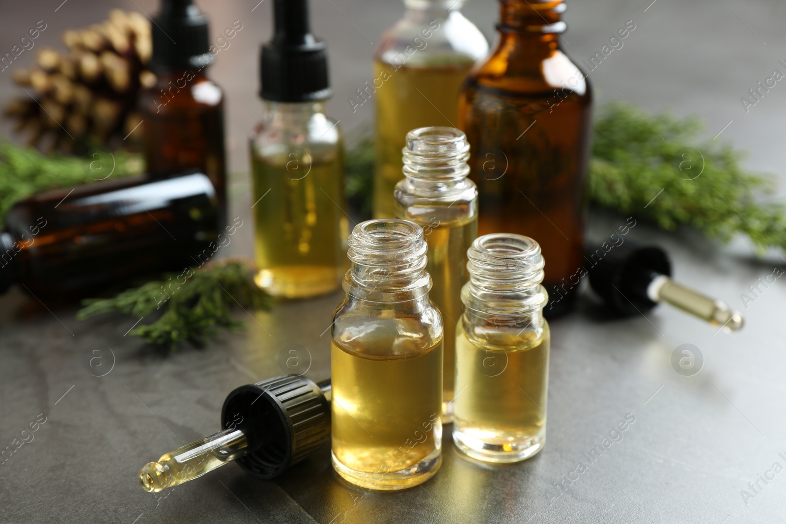 Photo of Composition with bottles of conifer essential oil on grey table