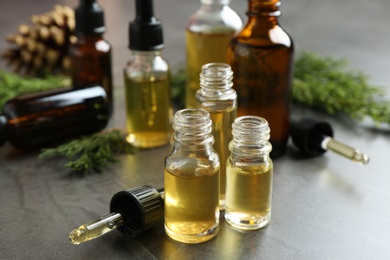 Photo of Composition with bottles of conifer essential oil on grey table
