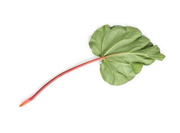 Fresh rhubarb stalk with leaf isolated on white, top view