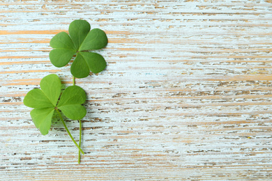 Photo of Clover leaves on light wooden table, flat lay with space for text. St. Patrick's Day symbol