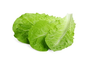 Photo of Fresh green leaves of romaine lettuce isolated on white