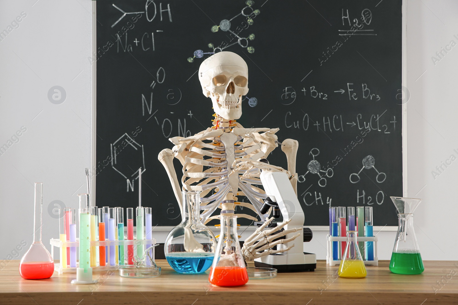 Photo of Skeleton and different chemistry glassware in classroom