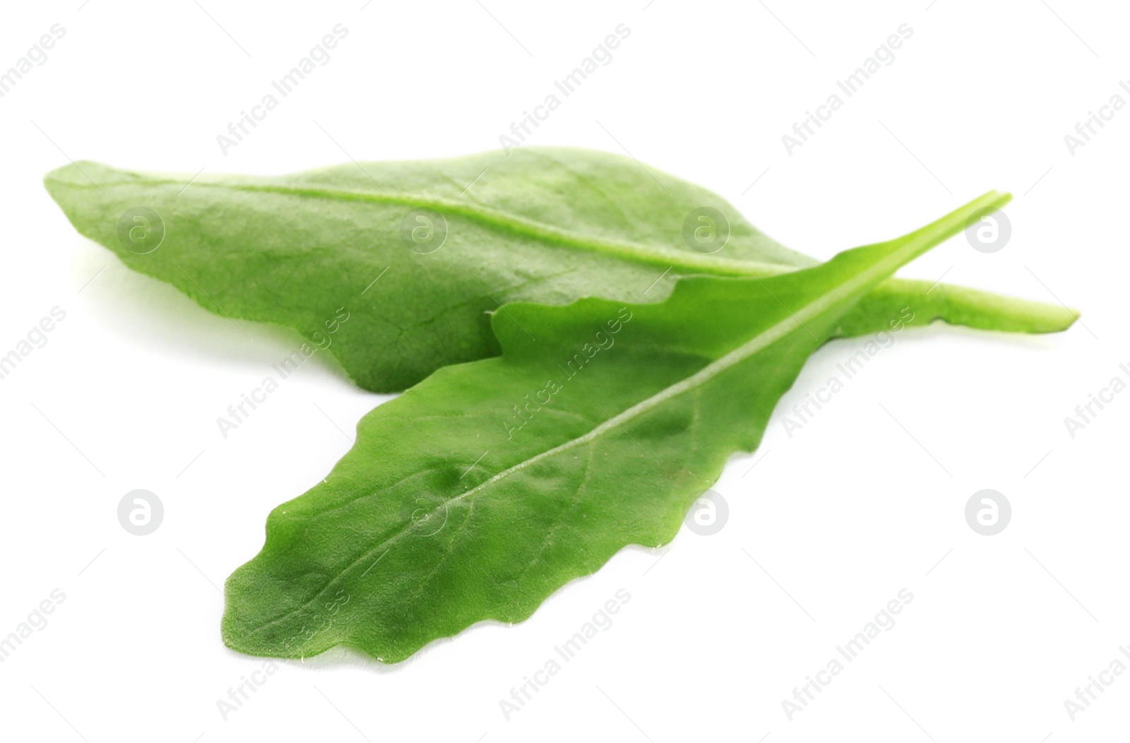 Photo of Fresh green arugula leaves on white background