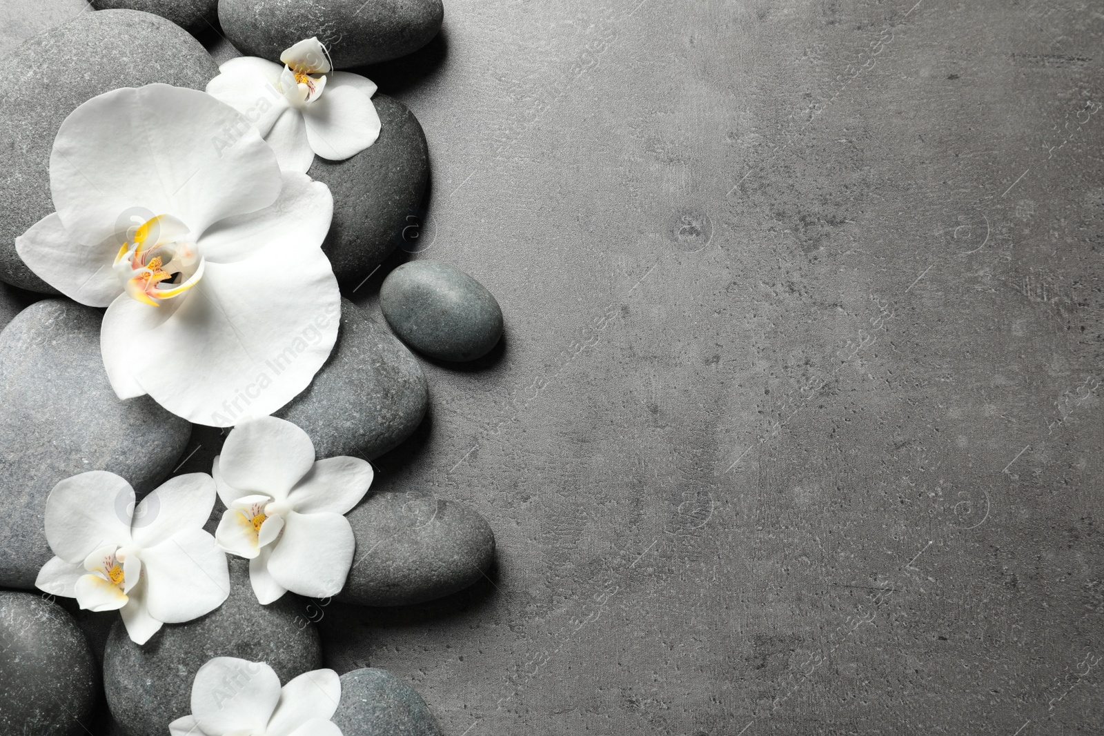 Photo of Flat lay composition with spa stones and orchid flowers on grey background. Space for text