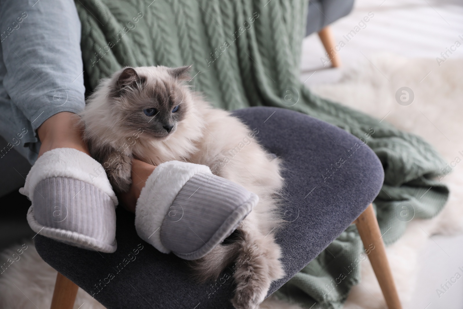 Photo of Woman in stylish soft slippers resting with cute cat at home, closeup