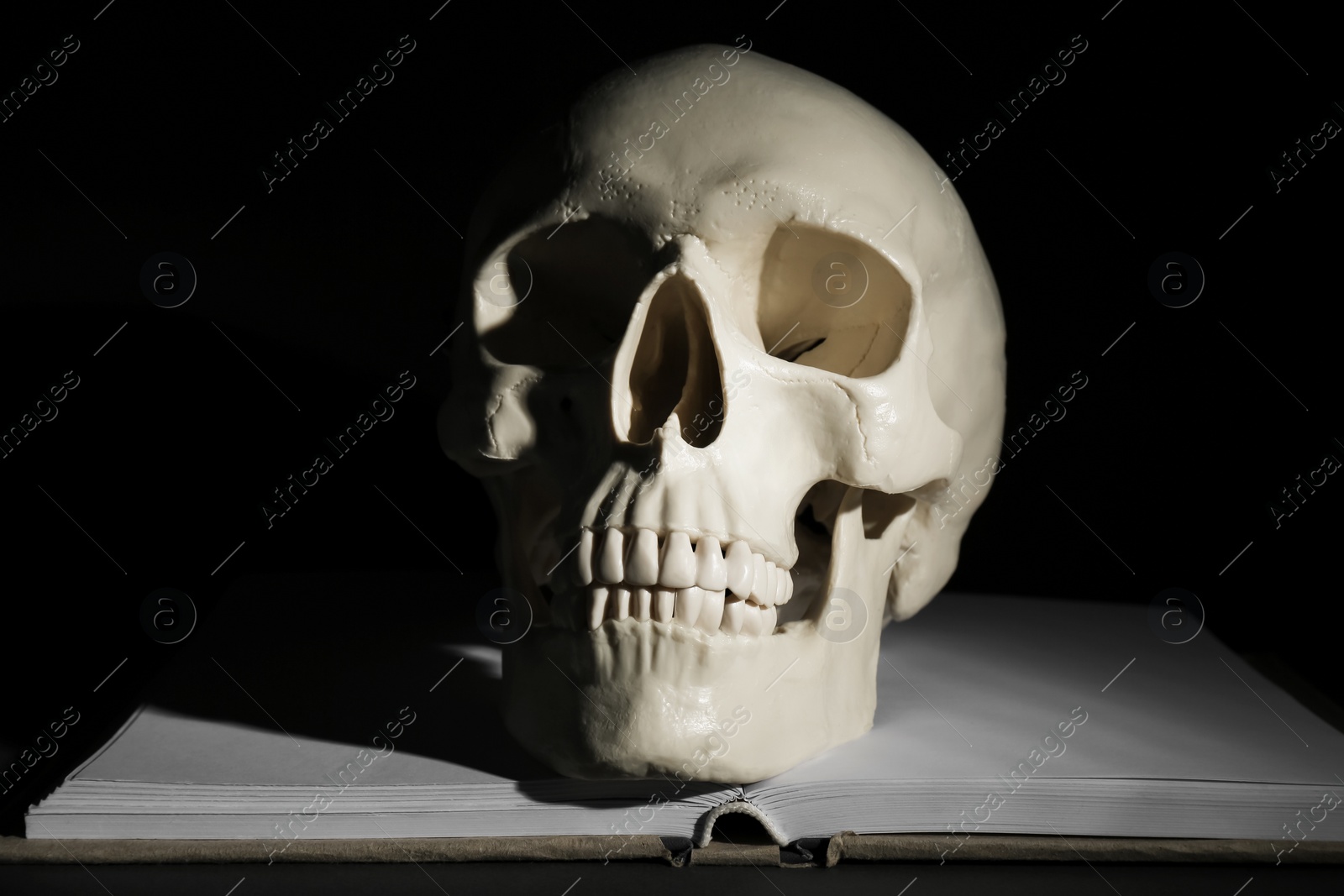 Photo of White human skull with book on black background