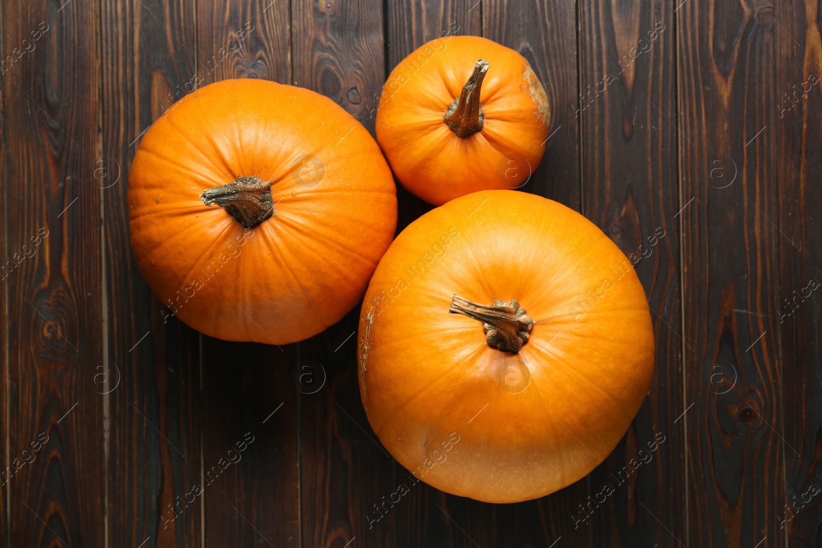 Photo of Thanksgiving day. Fresh ripe pumpkins on wooden table, flat lay